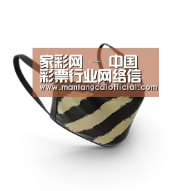成人布口罩