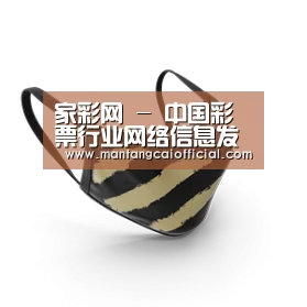 成人布口罩