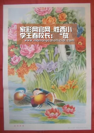 家彩网开奖查询