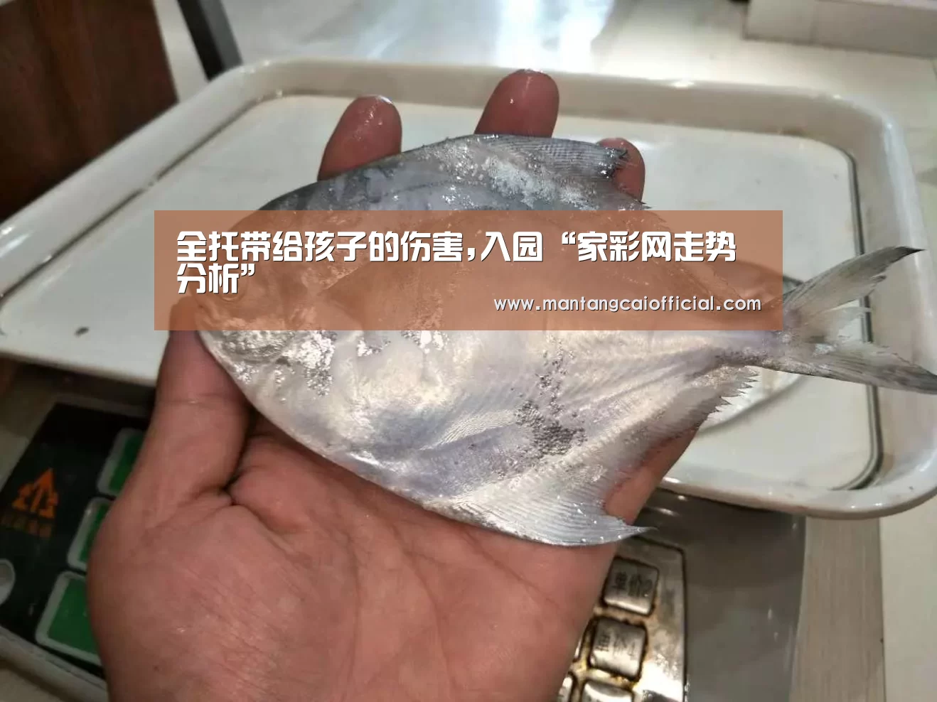 家彩网开奖查询