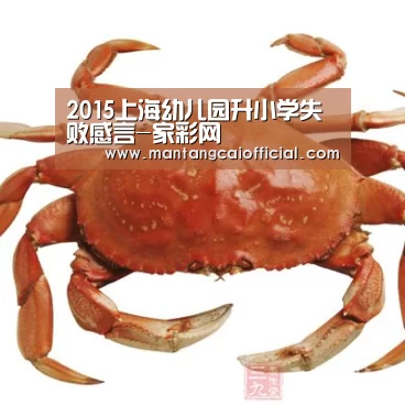 2015上海幼儿园升小学失败感言-家彩网(图1) 家彩网开奖查询