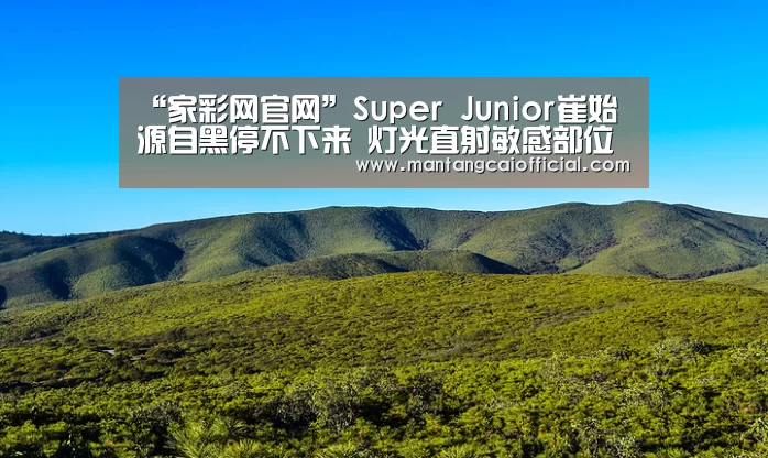 家彩网开奖查询
