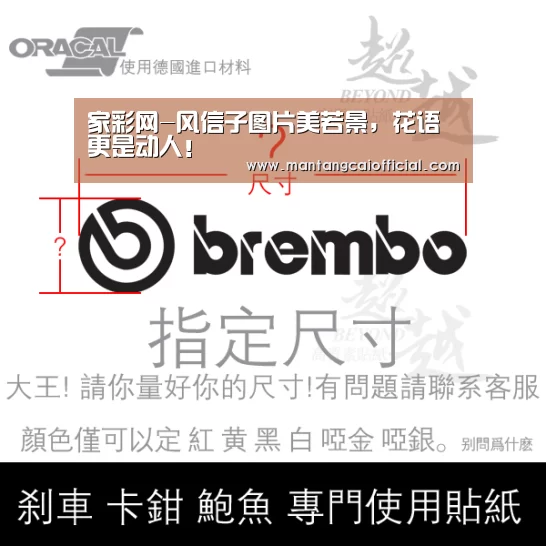 家彩网-风信子图片美若景,花语更是动人!(图1) 家彩网开奖查询