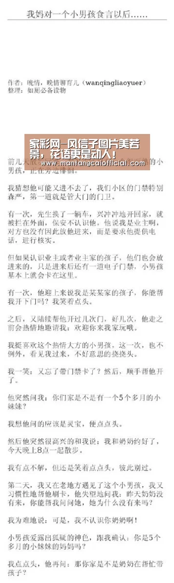 家彩网-风信子图片美若景,花语更是动人!(图2) 家彩网走势分析