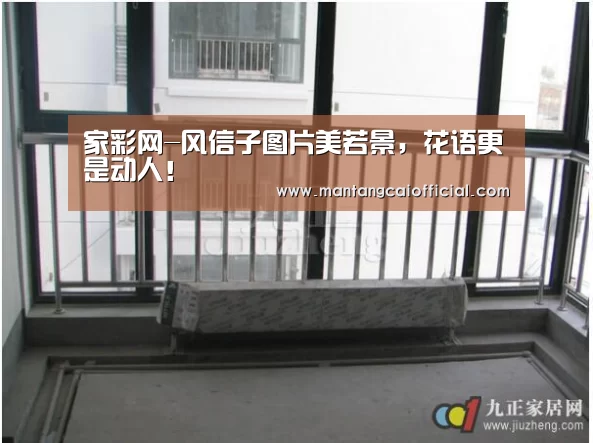 家彩网-风信子图片美若景,花语更是动人!(图4) 家彩网