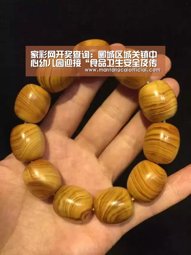 家彩网开奖查询:郾城区城关镇中心幼儿园迎接“食品卫生安全及传染病防控”检查(图4) 家彩网
