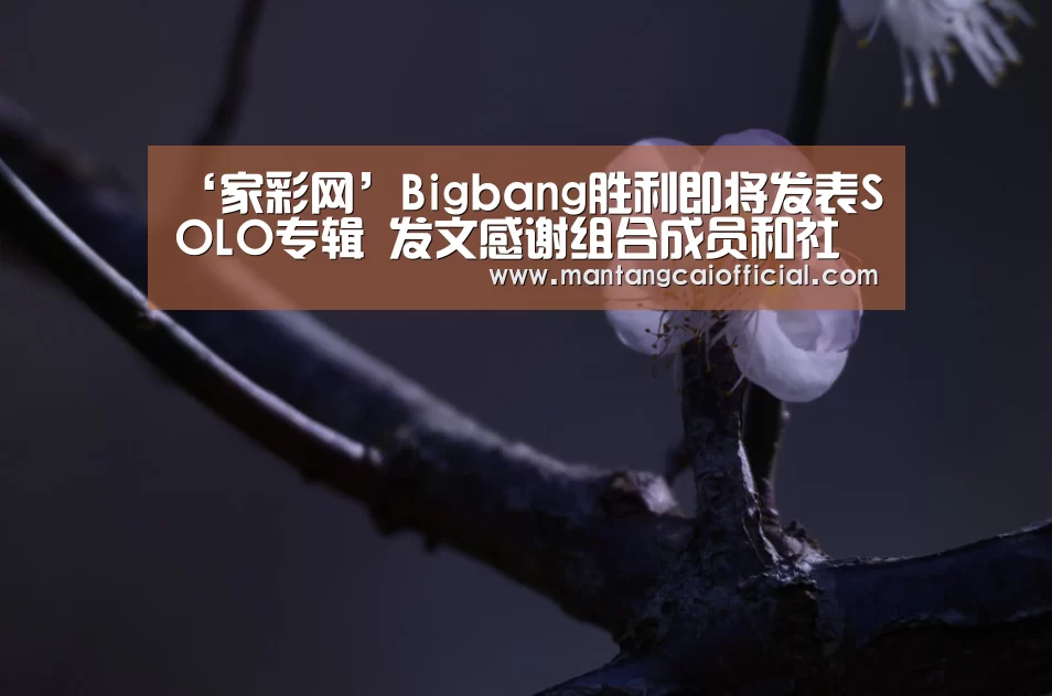 家彩网走势分析